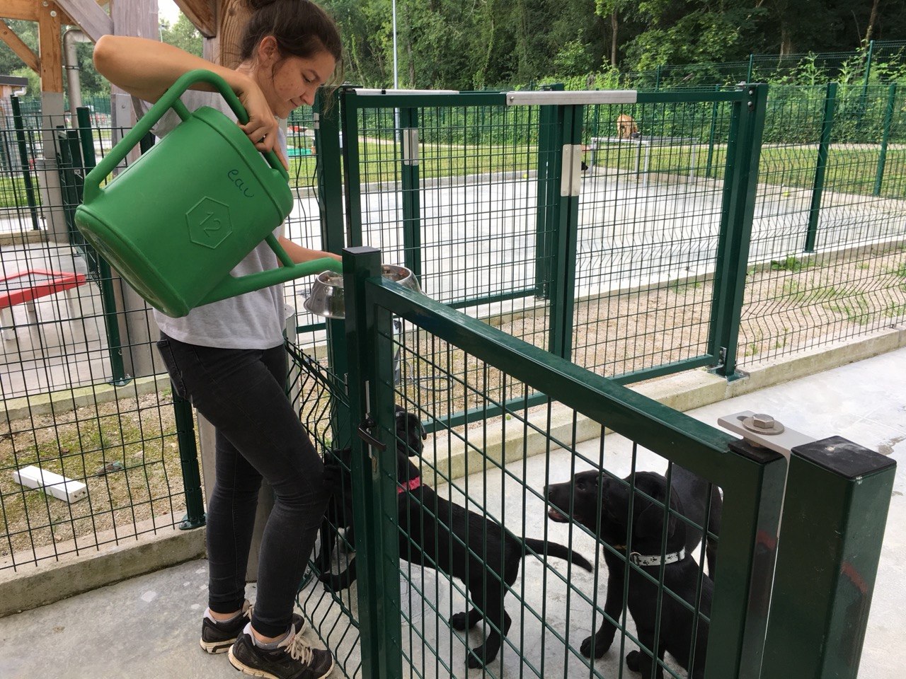 Marion Rahaingomanana prenant soin des animaux au refuge SPA